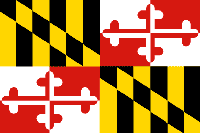 Image of the University of Maryland Terrapins football redesign patterns from state flag